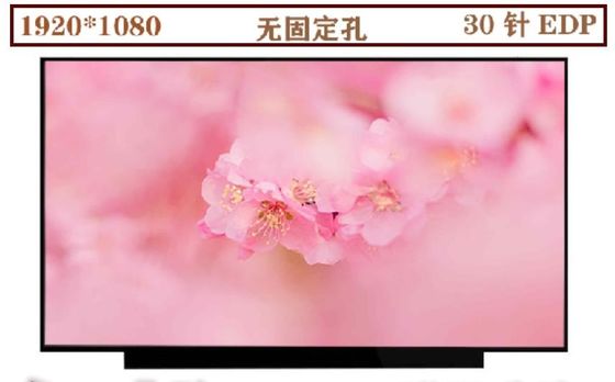 N133HCE-EN1 Innolux 13.3」1920年の（RGB） ×1080 330 cd/mの²産業LCDの表示