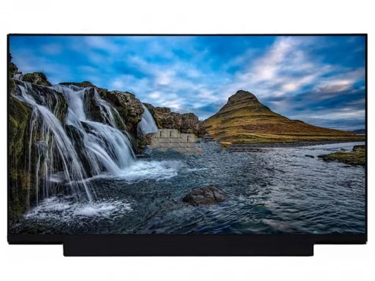 NT173WDM-N25 BOE 17.3&quot; 1600 ((RGB) ×900,HD+ 250 (cd/m2) 産業用液晶ディスプレイ