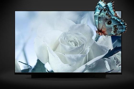 N161HCA-EA3 Innolux 16.1」1920年の（RGB） ×1080 300 cd/mの²産業LCDの表示