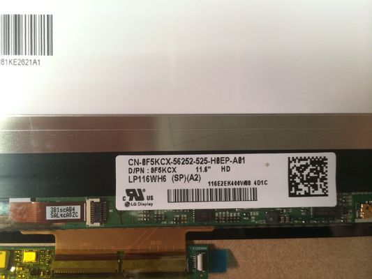 LP116WH6-SPA2 LGの表示11.6」1366の（RGB） ×768 300 cd/mの²産業LCDの表示