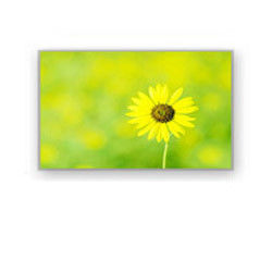 4.0&quot; 320×240 4700cd/M2産業LCDの表示HSD040I3N1-B00 HannStar